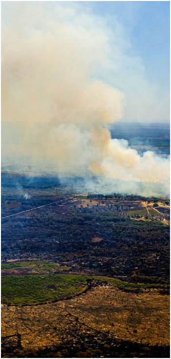 Mato Grosso MT-09 08 2020-A Secretaria de Estado de Meio Ambiente (Sema) está destinando as máquinas utilizadas em crimes ambientais para combate aos incêndios no Pantanal, no município de Poconé   Estamos invertendo a lógica das infrações ao destinar esses equipamentos, que até então eram utilizados para causar danos à natureza, para nos auxiliar a protegê-la , afirma a gestora do órgão, Mauren Lazzaretti Desde o início dos incêndios, três máquinas foram destacadas para auxiliar o trabalho do Corpo de Bombeiros Militar (CBM-MT) na construção dos aceiros e outras estruturas para contenção do fogo  A secretária também determinou que outras máquinas que eventualmente sejam apreendidas na região, sejam destinadas a auxiliar na Operação Pantanal II, deflagrada na última sexta-feira (07 08), em parceria com o Governo Federal foto  Mayke Toscano