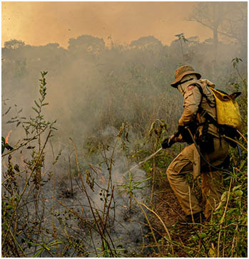 Mato Grosso MT-09 08 2020-A Secretaria de Estado de Meio Ambiente (Sema) está destinando as máquinas utilizadas em crimes ambientais para combate aos incêndios no Pantanal, no município de Poconé   Estamos invertendo a lógica das infrações ao destinar esses equipamentos, que até então eram utilizados para causar danos à natureza, para nos auxiliar a protegê-la , afirma a gestora do órgão, Mauren Lazzaretti Desde o início dos incêndios, três máquinas foram destacadas para auxiliar o trabalho do Corpo de Bombeiros Militar (CBM-MT) na construção dos aceiros e outras estruturas para contenção do fogo  A secretária também determinou que outras máquinas que eventualmente sejam apreendidas na região, sejam destinadas a auxiliar na Operação Pantanal II, deflagrada na última sexta-feira (07 08), em parceria com o Governo Federal foto  Mayke Toscano