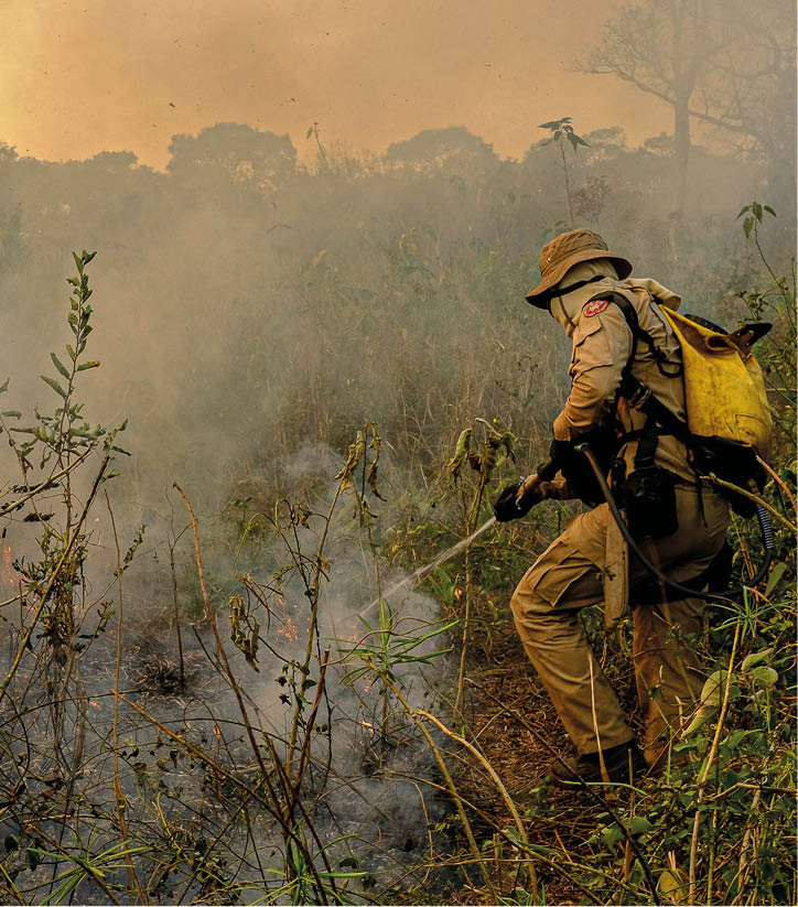 Mato Grosso MT-09 08 2020-A Secretaria de Estado de Meio Ambiente (Sema) está destinando as máquinas utilizadas em crimes ambientais para combate aos incêndios no Pantanal, no município de Poconé   Estamos invertendo a lógica das infrações ao destinar esses equipamentos, que até então eram utilizados para causar danos à natureza, para nos auxiliar a protegê-la , afirma a gestora do órgão, Mauren Lazzaretti Desde o início dos incêndios, três máquinas foram destacadas para auxiliar o trabalho do Corpo de Bombeiros Militar (CBM-MT) na construção dos aceiros e outras estruturas para contenção do fogo  A secretária também determinou que outras máquinas que eventualmente sejam apreendidas na região, sejam destinadas a auxiliar na Operação Pantanal II, deflagrada na última sexta-feira (07 08), em parceria com o Governo Federal foto  Mayke Toscano