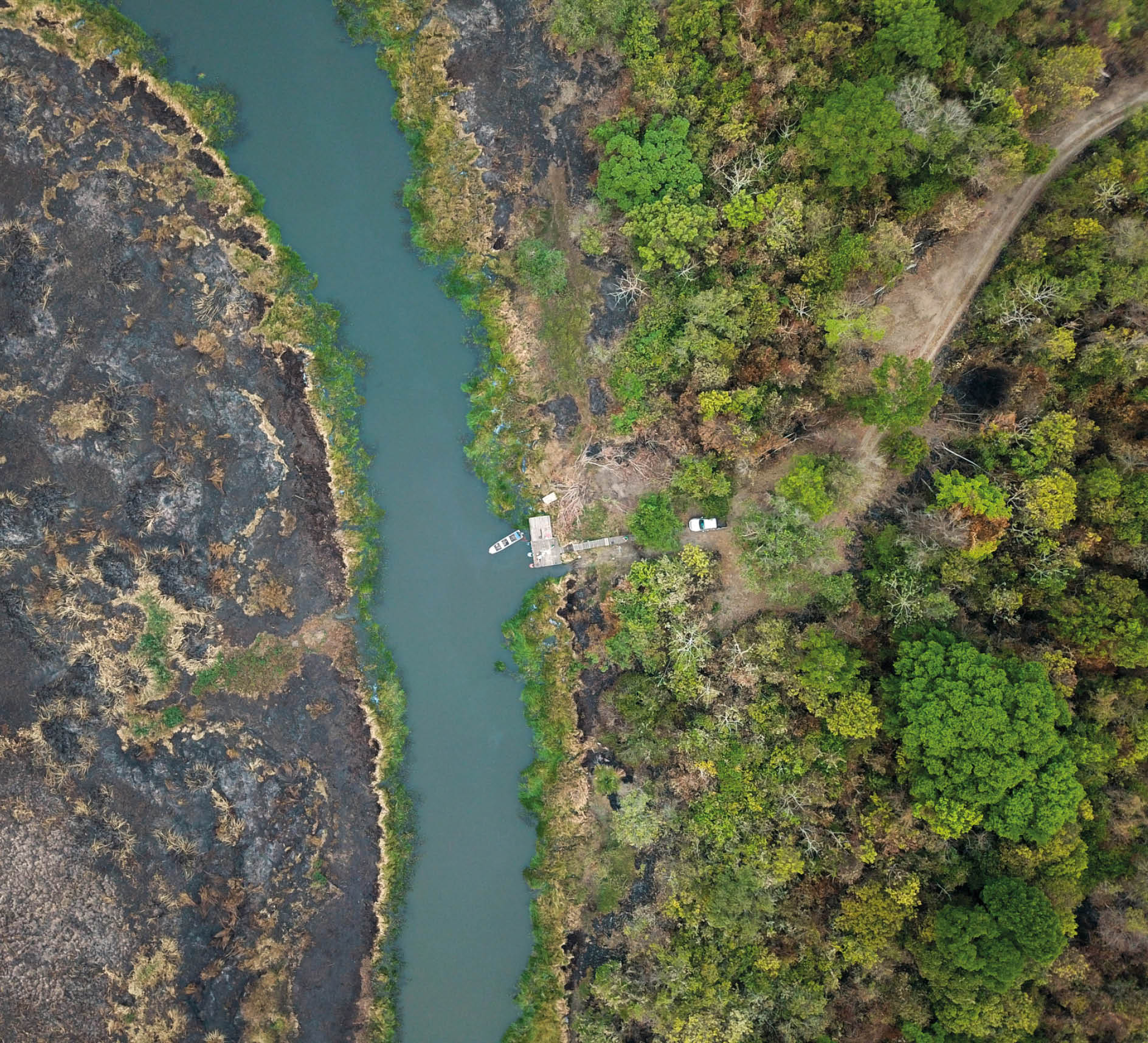 Incêndio no pantanal