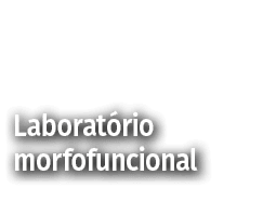 Laboratório morfofuncional