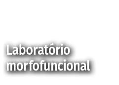 Laboratório morfofuncional