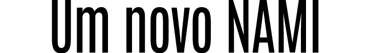 Um novo NAMI