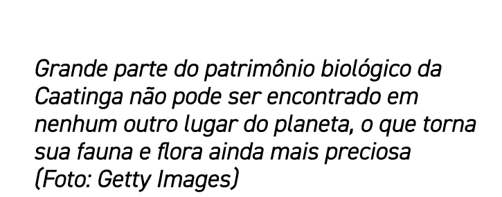 Grande parte do patrimônio biológico da Caatinga não pode ser encontrado em nenhum outro lugar do planeta, o que torn   