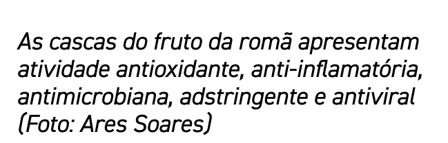 As cascas do fruto da romã apresentam atividade antioxidante, anti-inflamatória, antimicrobiana, adstringente e antiv   