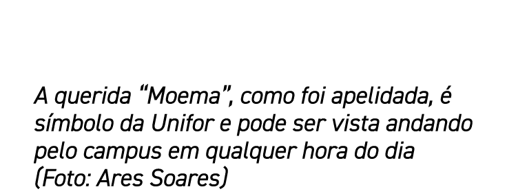 A querida  Moema , como foi apelidada, é símbolo da Unifor e pode ser vista andando pelo campus em qualquer hora do d   
