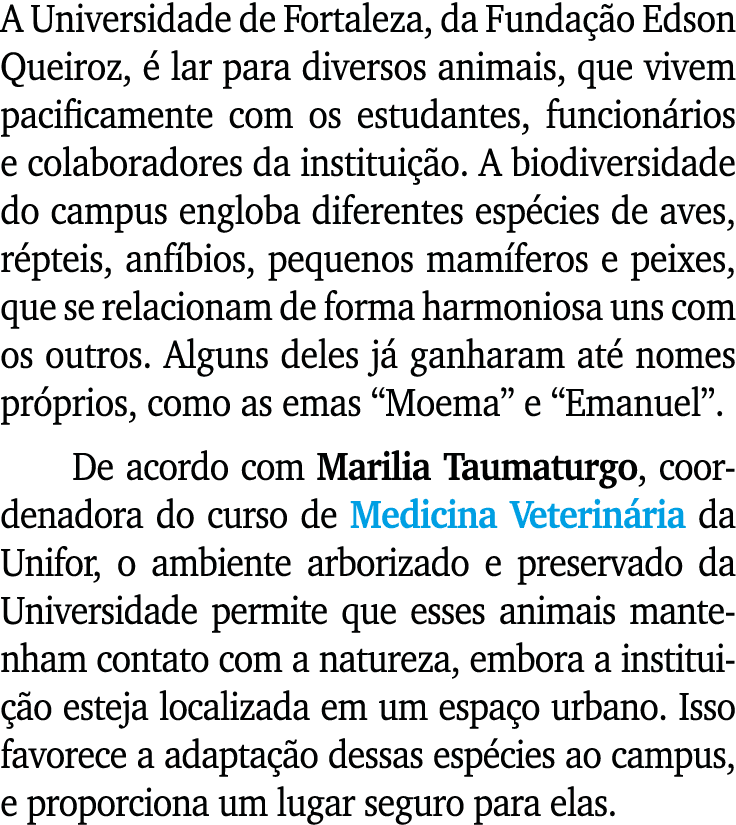 A Universidade de Fortaleza, da Fundação Edson Queiroz, é lar para diversos animais, que vivem pacificamente com os e   