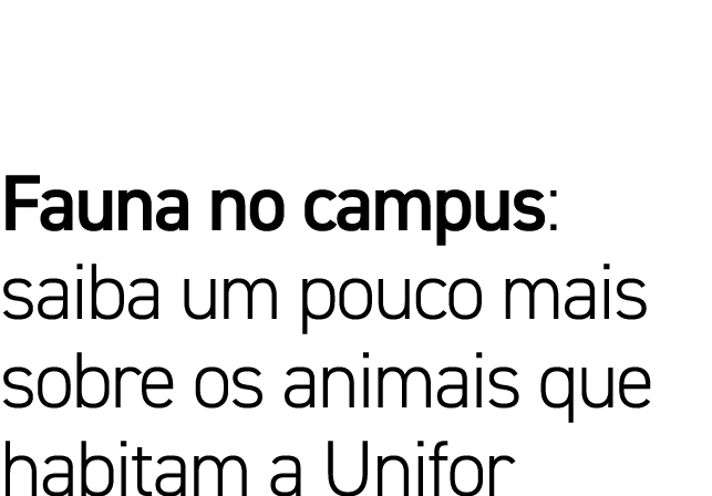 Fauna no campus: saiba um pouco mais sobre os animais que habitam a Unifor