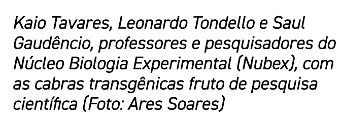 Kaio Tavares, Leonardo Tondello e Saul Gaud ncio, professores e pesquisadores do N cleo Biologia Experimental (Nubex)...