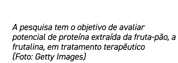 A pesquisa tem o objetivo de avaliar potencial de prote na extra da da fruta-p o, a frutalina, em tratamento terap ut...