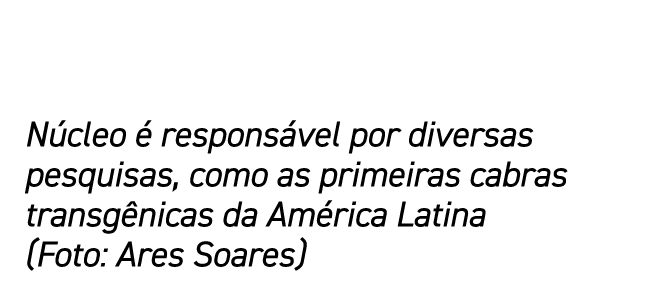 N cleo  respons vel por diversas pesquisas, como as primeiras cabras transg nicas da Am rica Latina (Foto: Ares Soares)