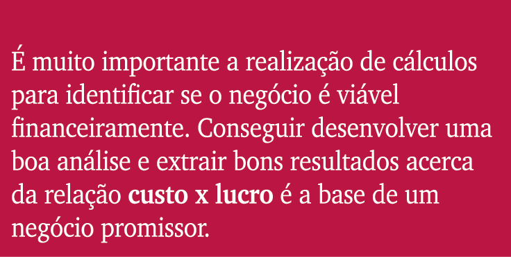  muito importante a realiza  o de c lculos para identificar se o neg cio   vi vel financeiramente. Conseguir desenvo...