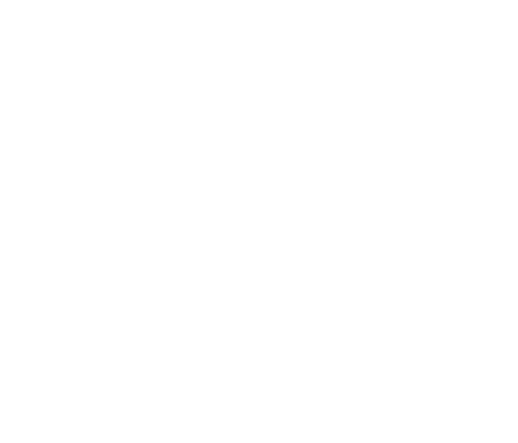 Enredo “A Flauta M gica”  uma hist ria de travessia. O pr ncipe Tamino faz uma viagem – com as b n  os de seu pai, r...