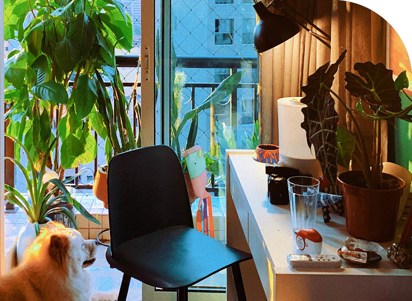 Processed with VSCO with q3 preset