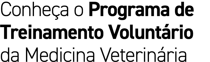 Conhe a o Programa de Treinamento Volunt rio da Medicina Veterin ria