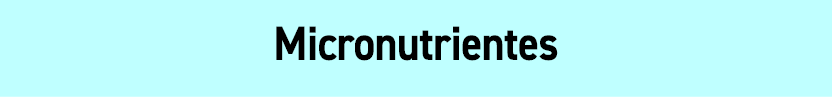 Micronutrientes