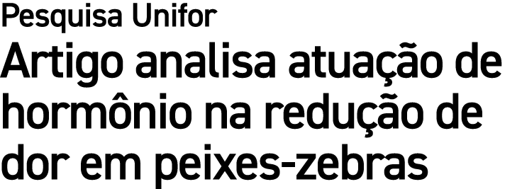 Pesquisa Unifor Artigo analisa atua o de horm nio na redu  o de dor em peixes zebras