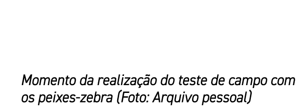 Momento da realiza o do teste de campo com os peixes zebra (Foto: Arquivo pessoal)