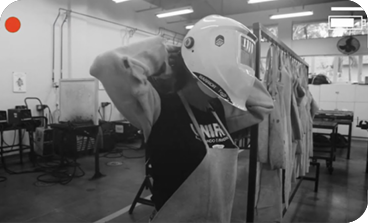 $$$/StateType/Normal