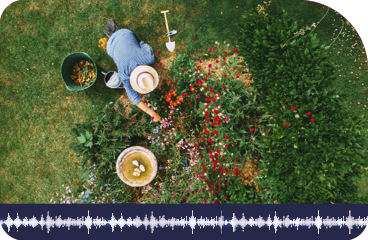 $$$/StateType/Normal