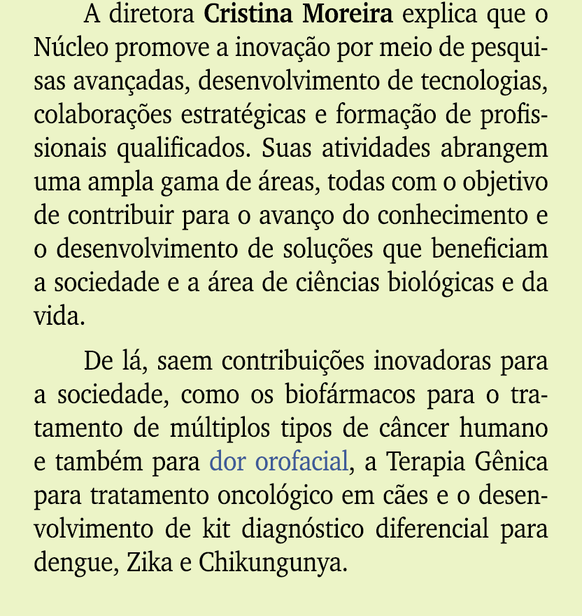 A diretora Cristina Moreira explica que o N cleo promove a inova o por meio de pesquisas avan adas, desenvolvimento ...