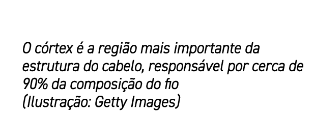 O c rtex  a regi o mais importante da estrutura do cabelo, respons vel por cerca de 90% da composi  o do fio (Ilustr...