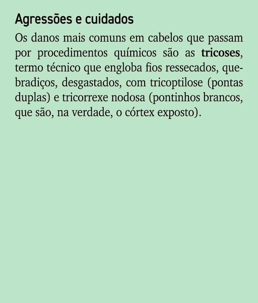 Agress es e cuidados Os danos mais comuns em cabelos que passam por procedimentos qu micos s o as tricoses, termo t c...
