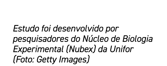 Estudo foi desenvolvido por pesquisadores do N cleo de Biologia Experimental (Nubex) da Unifor (Foto: Getty Images)