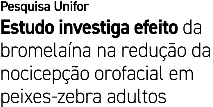 Pesquisa Unifor Estudo investiga efeito da bromela na na redu o da nocicep  o orofacial em peixes zebra adultos