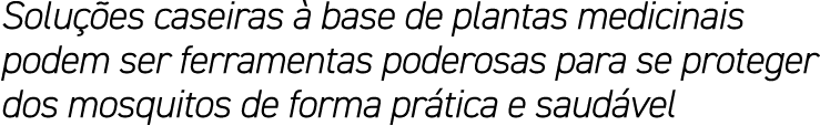 Solu es caseiras   base de plantas medicinais podem ser ferramentas poderosas para se proteger dos mosquitos de form...