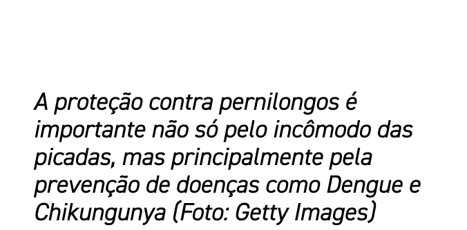 A prote o contra pernilongos   importante n o s  pelo inc modo das picadas, mas principalmente pela preven  o de doe...