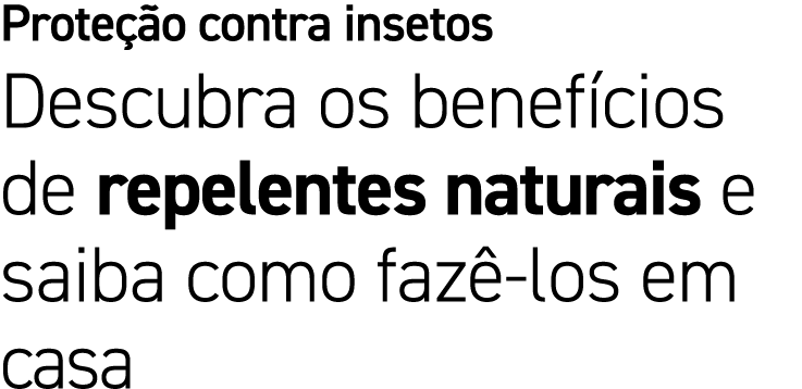 Prote o contra insetos Descubra os benef cios de repelentes naturais e saiba como faz  los em casa