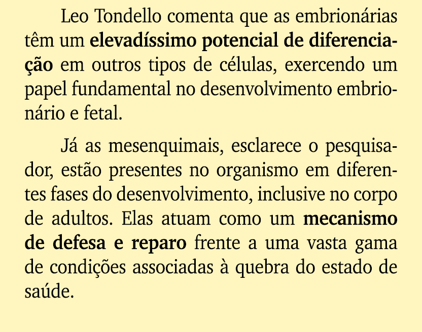 Leo Tondello comenta que as embrion rias t m um elevad ssimo potencial de diferencia o em outros tipos de c lulas, e...