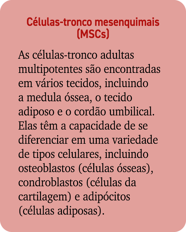 C lulas tronco mesenquimais (MSCs) As c lulas tronco adultas multipotentes s o encontradas em v rios tecidos, incluin...