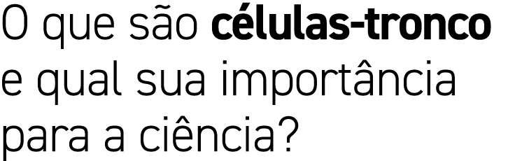 O que s o c lulas tronco e qual sua import ncia para a ci ncia?