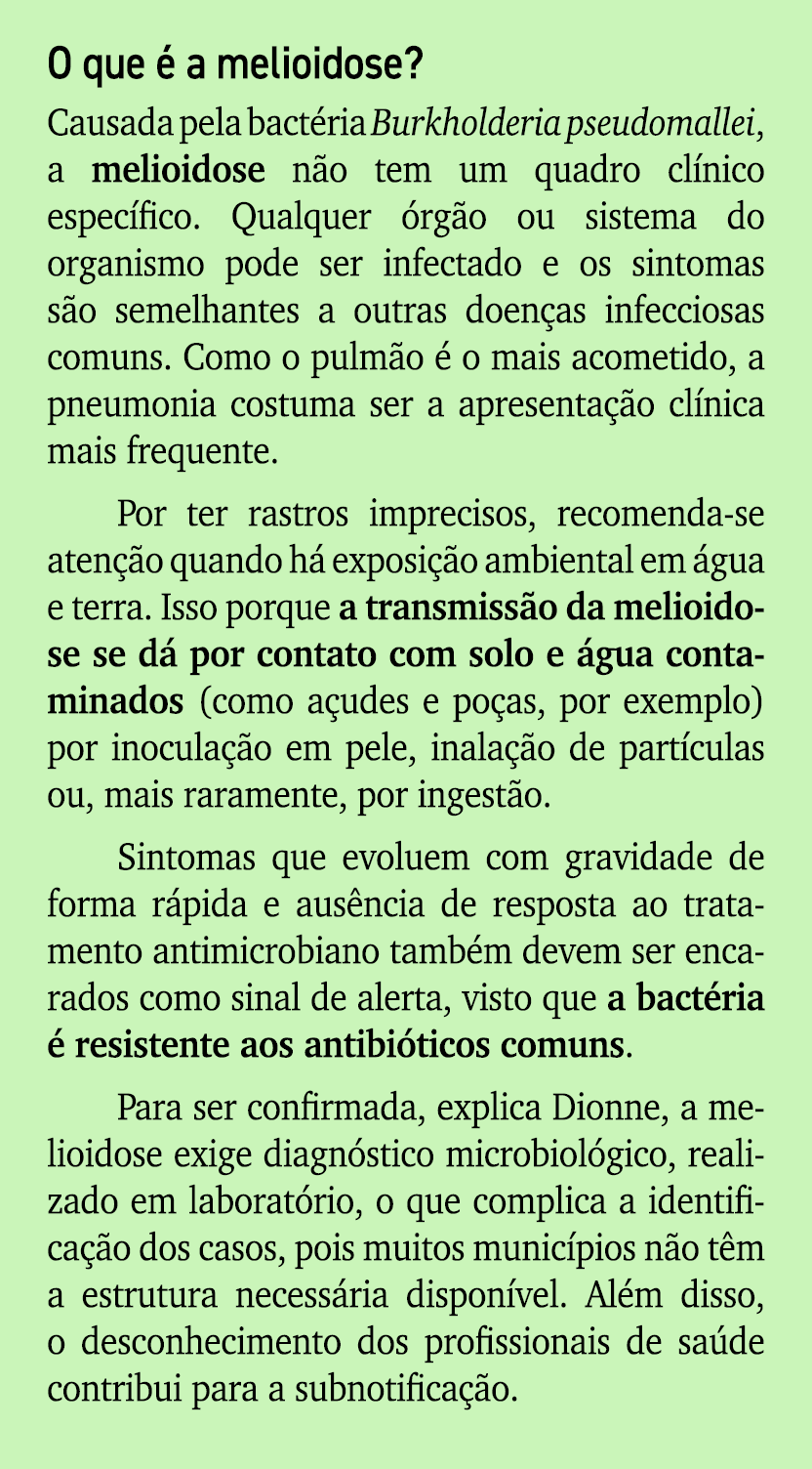 O que  a melioidose? Causada pela bact ria Burkholderia pseudomallei, a melioidose n o tem um quadro cl nico espec f...