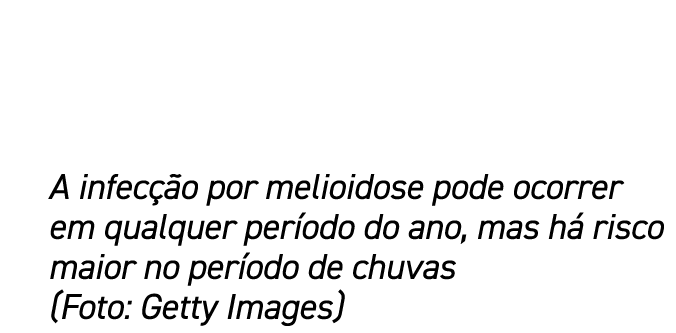 A infec o por melioidose pode ocorrer em qualquer per odo do ano, mas h  risco maior no per odo de chuvas (Foto: Get...