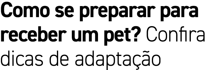 Como se preparar para receber um pet? Confira dicas de adapta o