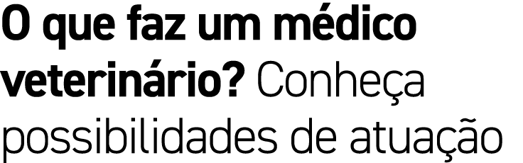 O que faz um m dico veterin rio? Conhe a possibilidades de atua o