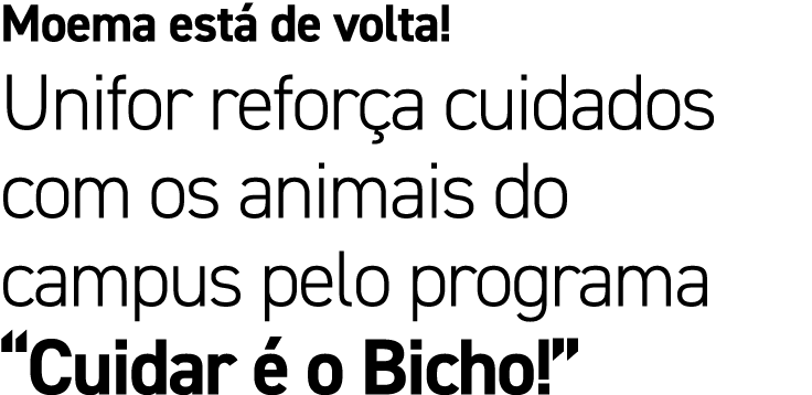 Moema est de volta! Unifor refor a cuidados com os animais do campus pelo programa “Cuidar   o Bicho!”