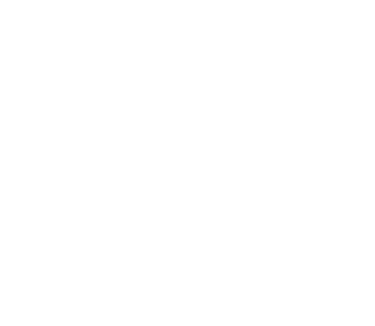 FUNDA O EDSON QUEIROZ Presidente Lenise Queiroz Rocha Vice Presidente Manoela Queiroz Bacelar UNIVERSIDADE DE FORTAL...