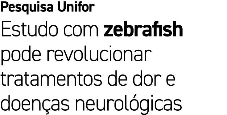 Pesquisa Unifor Estudo com zebrafish pode revolucionar tratamentos de dor e doen as neurol gicas