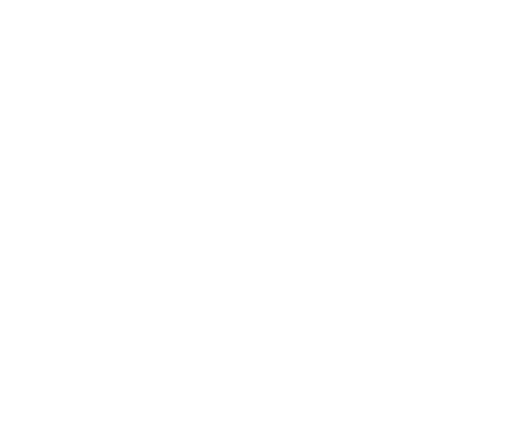 FUNDA O EDSON QUEIROZ Presidente Lenise Queiroz Rocha Vice Presidente Manoela Queiroz Bacelar UNIVERSIDADE DE FORTAL...