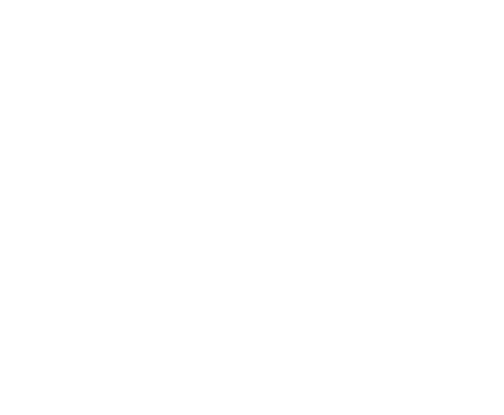 FUNDA O EDSON QUEIROZ Presidente Lenise Queiroz Rocha Vice Presidente Manoela Queiroz Bacelar UNIVERSIDADE DE FORTAL...