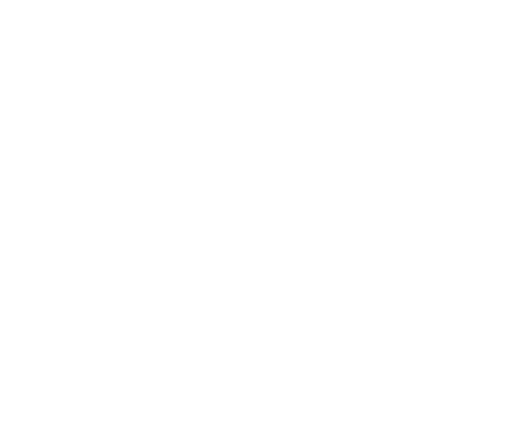 FUNDA O EDSON QUEIROZ Presidente Lenise Queiroz Rocha Vice Presidente Manoela Queiroz Bacelar UNIVERSIDADE DE FORTAL...