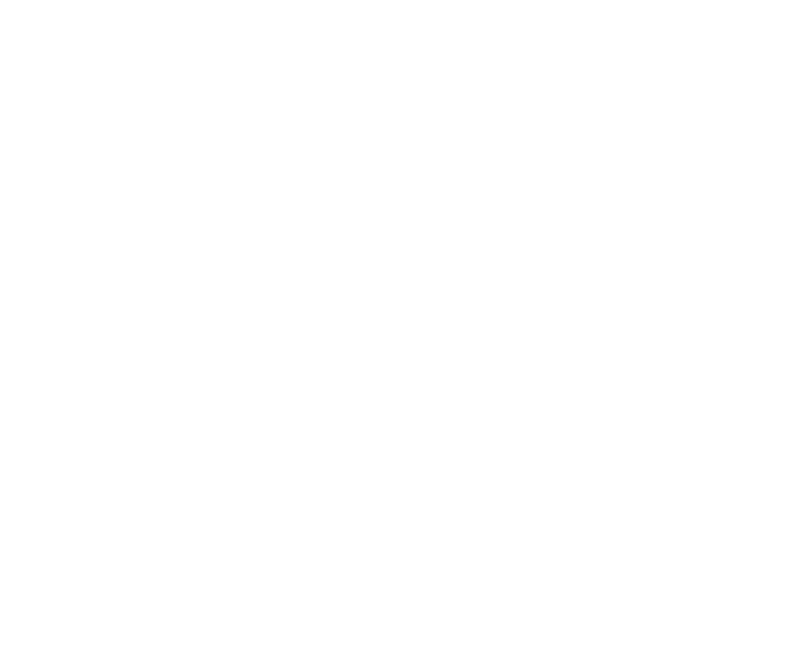 FUNDA O EDSON QUEIROZ Presidente Lenise Queiroz Rocha Vice Presidente Manoela Queiroz Bacelar UNIVERSIDADE DE FORTAL...