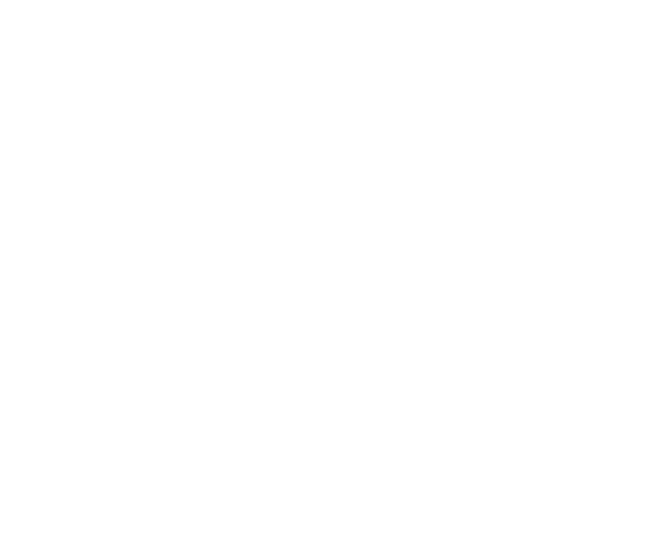 FUNDA O EDSON QUEIROZ Presidente Lenise Queiroz Rocha Vice Presidente Manoela Queiroz Bacelar UNIVERSIDADE DE FORTAL...