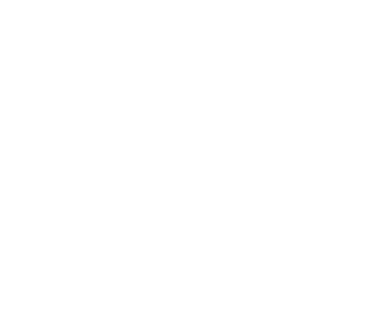 FUNDA O EDSON QUEIROZ Presidente Lenise Queiroz Rocha Vice Presidente Manoela Queiroz Bacelar UNIVERSIDADE DE FORTAL...