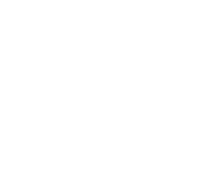 FUNDA O EDSON QUEIROZ Presidente Lenise Queiroz Rocha Vice Presidente Manoela Queiroz Bacelar UNIVERSIDADE DE FORTAL...