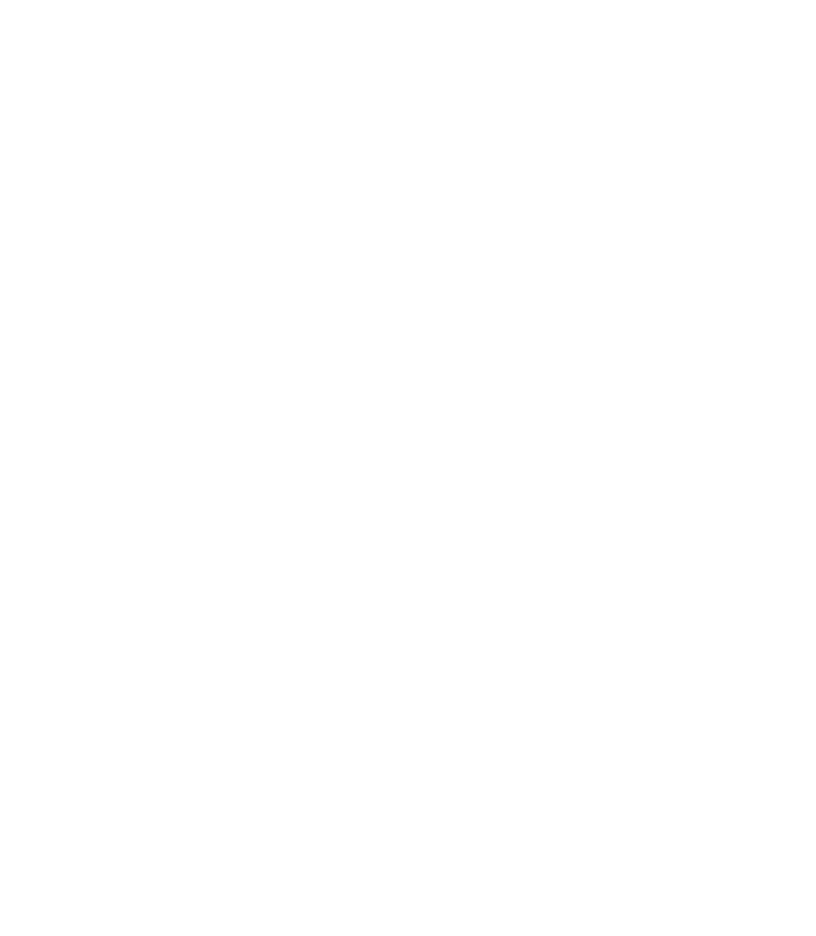 FUNDA O EDSON QUEIROZ Presidente Lenise Queiroz Rocha Vice Presidente Manoela Queiroz Bacelar UNIVERSIDADE DE FORTAL...